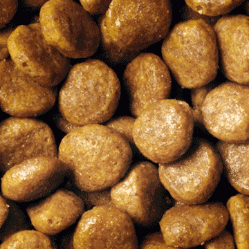 PPC-Kibbles-Dry-Adult-Chicken-Product-360x360 (1)