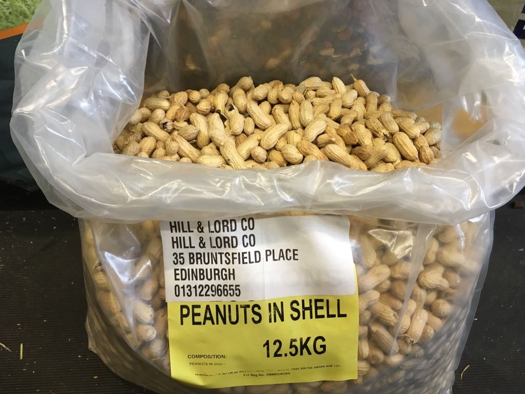 Peanuts_edited